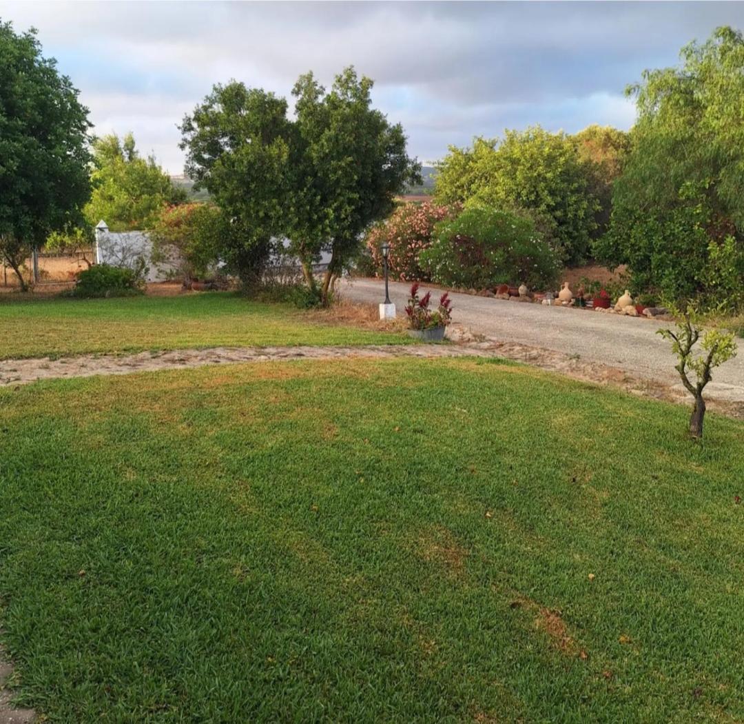 Casa Rural El Nino Santamaria , Con Piscina Y Wifi Vejer de la Frontera Eksteriør bilde