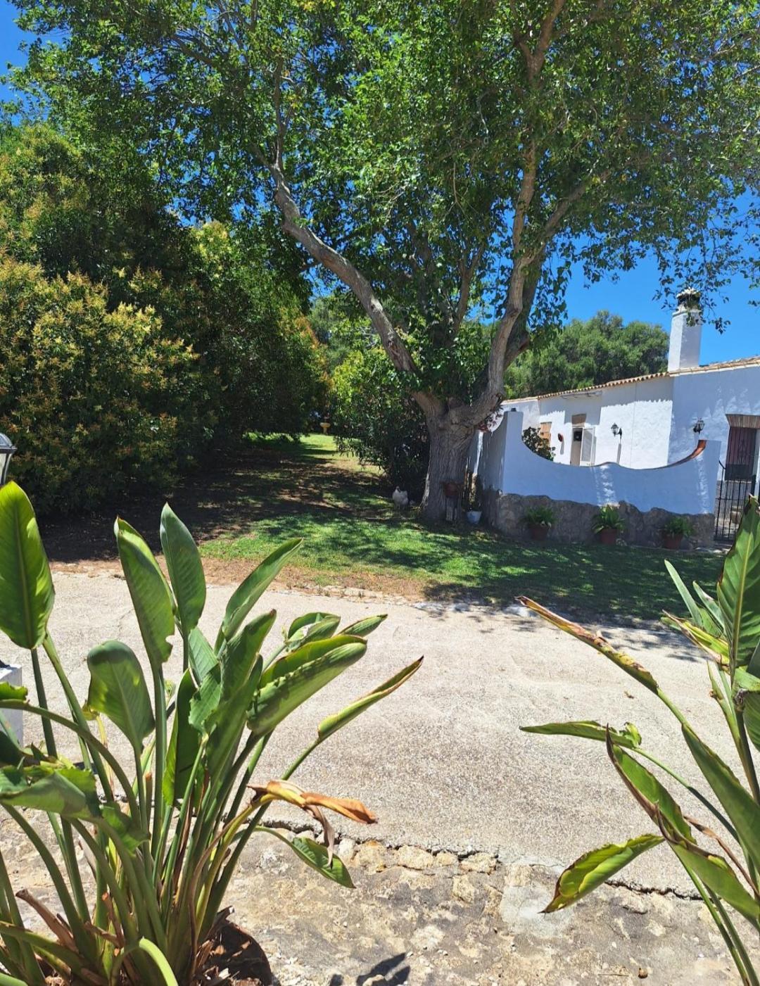 Casa Rural El Nino Santamaria , Con Piscina Y Wifi Vejer de la Frontera Eksteriør bilde