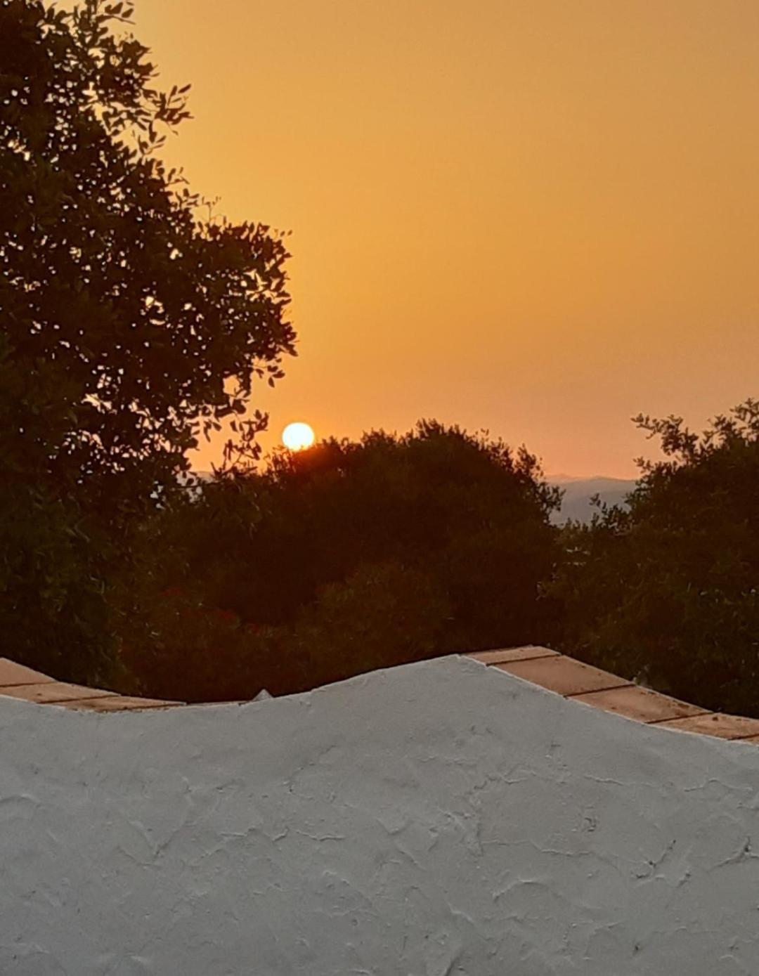 Casa Rural El Nino Santamaria , Con Piscina Y Wifi Vejer de la Frontera Eksteriør bilde